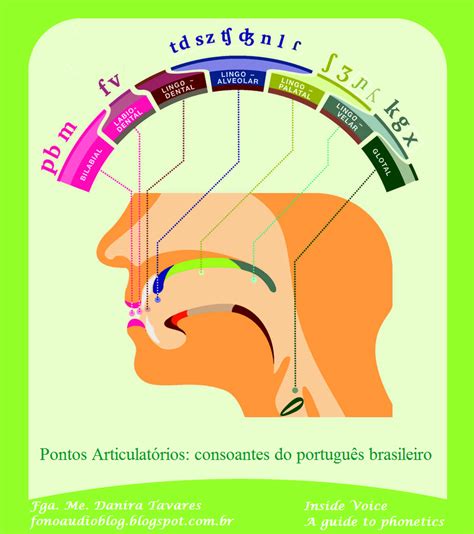 Pontos Articulat Rios Das Consoantes Do Portugu S Brasileiro Fon Tica