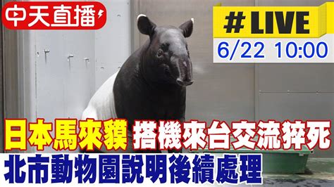 【中天直播live】日本馬來貘搭機來台交流猝死 北市動物園說明後續處理 20240622 中天新聞ctinews Youtube