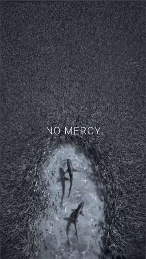 No Mercy Inspiration Sharks No Mercy Hd Phone Wallpaper Pxfuel