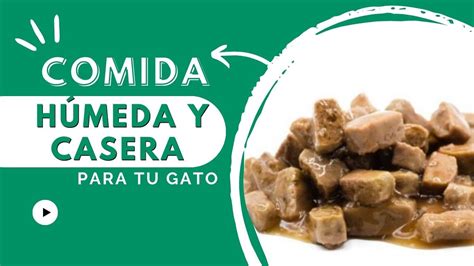 Comida H Meda Para Gatos Casera Recetas Barf