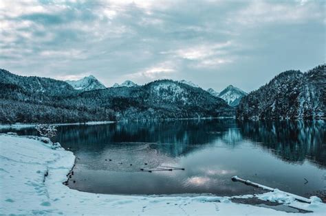 Premium Photo | Alpsee near schwangau in winter germany