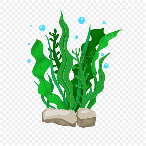 Green Seaweed Clipart Vector, Green Seaweed Clip Art, Seaweed Clipart, Seaweed, Clipart PNG ...