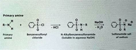 Primary Amine Naoh H O R Nh Nh R Ena Hcl Primary Amine