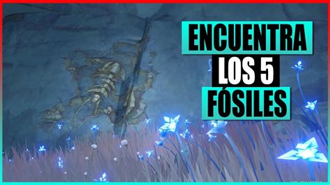 Genshin Impact Localizaci N De Los F Siles Rocas Extra As Youtube