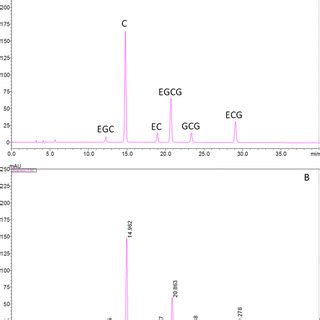 Representative Hplc Chromatograms Of Standards A And Oolong Tea