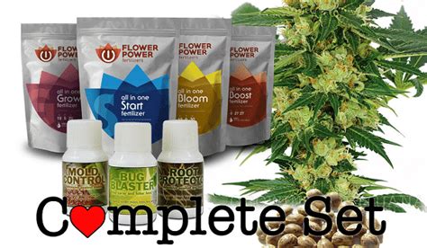 Buy Marijuana Grow Kits – Marijuana Seeds USA