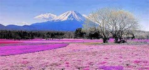 Landforms and Climate - Japanese Research Project