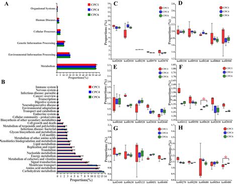 Functional Prediction Of The Intestinal Microbiota Of Grass Carp Fed Download Scientific