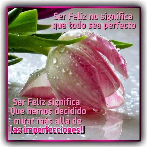 Ser Feliz No Significa Que Todo Sea Perfecto Frases De Vida Y Reflexi N