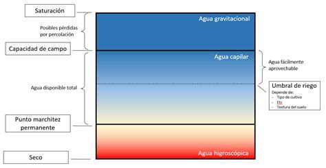 Cuándo regar con sensores de humedad de suelo PRISMAB