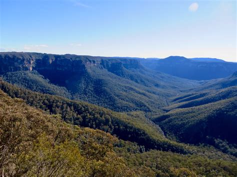 Guide to the Blue Mountains - Lita of the Pack