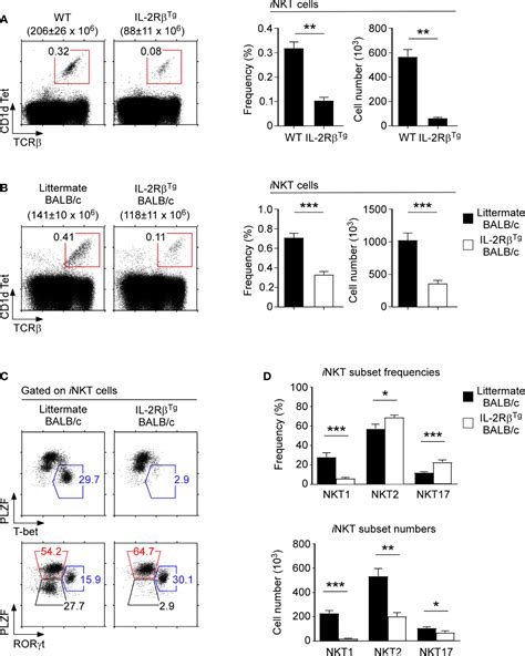 Frontiers The Timing And Abundance Of Il 2rβ Cd122 Expression