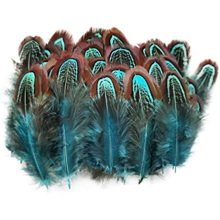 Amazon 180pcs 6 Style Natural Feathers Assorted Mixed Feathers For