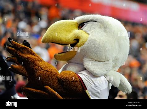 Eagle Mascot High Resolution Stock Photography and Images - Alamy