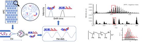 Polymercharakterisierung Organische Chemie Arbeitskreis Kuckling