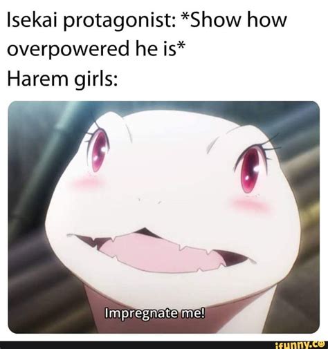 Lsekai protagonist: *Show how overpowered he is* Harem girls: - iFunny ...