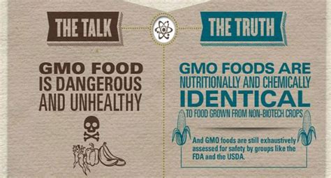 The Debate On Genetically Modified Organisms Gmos Yes Magazine