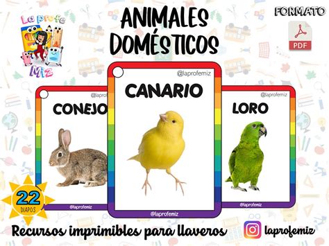 ANIMALES DOMÉSTICOS IMPRIMIBLE PARA LLAVERO XPPP