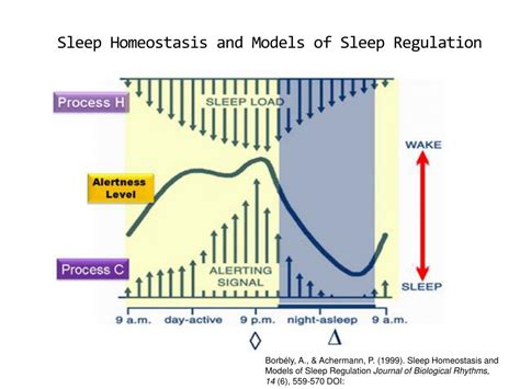 PPT Overview Of Sleep Disorders Sleep Medicine 60 Years Of Progress