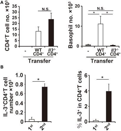 Frontiers Skin Cd Memory T Cells Play An Essential Role In Acquired