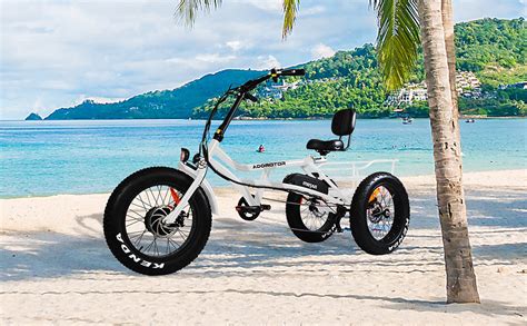 Addmotor Motan Electric Trike 750w 48v 16ah M360 Electric