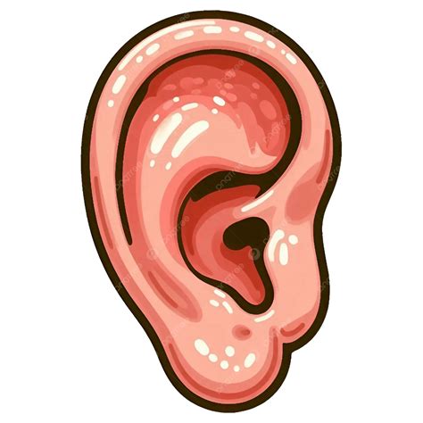 animal cartoon ears 1