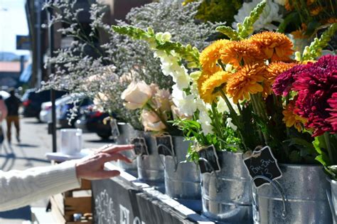 Busted Nashville’s Hidden Gems: Affordable Hotel Rooms Explored Watch Now! - DIDX WebRTC Gateway