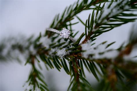 Kitchener Engagement Photographer Sarah Adam Engagement Rural Alma