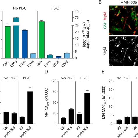 Expression Of Cd59 Protects Against Igm Anti Gm1 Induced Download Scientific Diagram