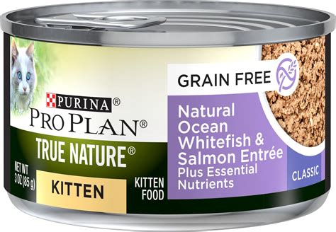 Top 9 Wet Food Kittens Grain Free - Your Best Life