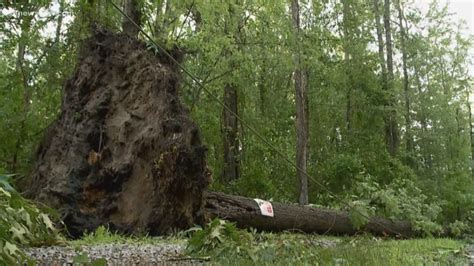 Quick-moving storms bring down trees, knock out power to thousands in ...