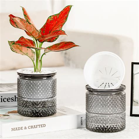 Maceta Hidrop Nica Para Flores Mini Florero Cultivo Sin Suelo Macetas