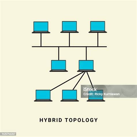 Ilustración De Ilustración Vectorial De Red De Topología Híbrida En