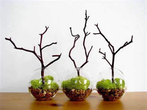 Globe Manzanita Forest Moss Terrarium By Tinyterrains On Etsy Moss