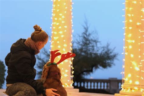 Danijela Vrbljanac snimila najljepšu fotografiju božićne čarolije u