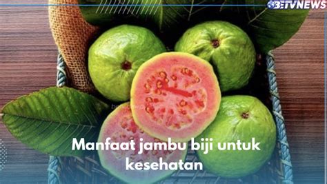 Baik Bagi Pengidap Kolesterol Cek 8 Manfaat Lain Jambu Biji Untuk Kesehatan Di Sini