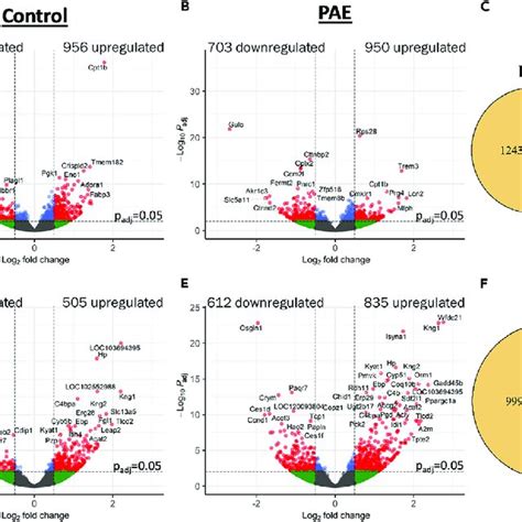 PAE Results In Altered Response To Cerebrovascular Stroke In Mesenteric