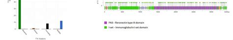 mutation types for the ENST00000591111.5 transcript of the TTN gene.... | Download Scientific ...