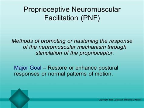 Proprioceptive Neuromuscular Facilitation