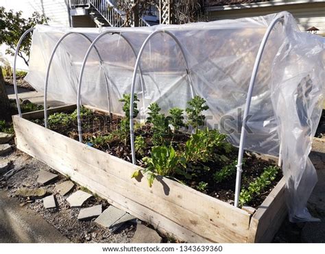 Poly Tunnel Raised Garden Beds Stock Photo Edit Now 1343639360