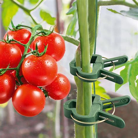 Клипсы для подвязки растений, GreenArt, 20 шт. - купить в интернет ...