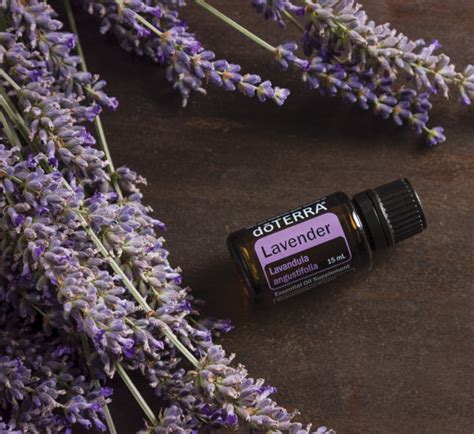 D Terra Lavender Essential Oil