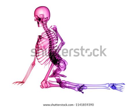 X Ray Human Body 3d Render Stock Illustration 1141859390 Shutterstock