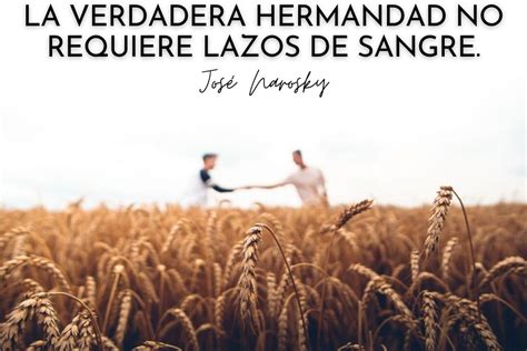 Descubre Las Mejores Frases De Hermandad Y Fraternidad Fortalece Tus