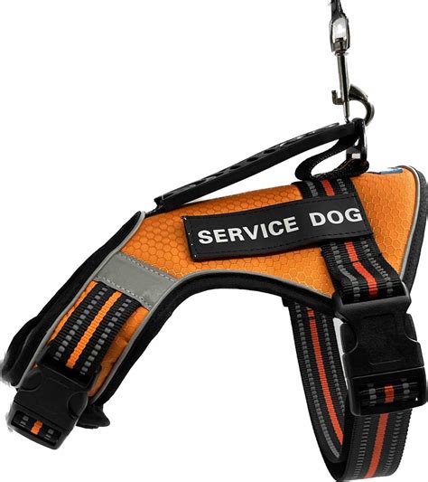 Шлейка шлейка для собак M Оранжево-чорна – фото | ROZETKA