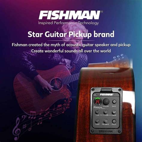 Fishman 4 Band 301 EQ Tuner Piezo Mic Presys Grelly UK