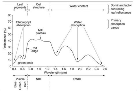 A typical spectral reflectance curve for healthy vegetation. Source ...