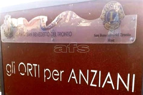 San Benedetto La Tradizione Dei Cavolfiori Arancioni Negli Orti Per