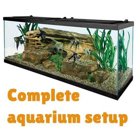 55-Gallon Starter Aquarium with Net, Food, Filter, Heater/Conditioner ...