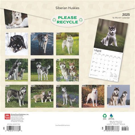 Siberian Husky Calendar 2025 Dita Myrtle